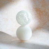 Chantilly Corporelle Graine Noíre — pot ouvert